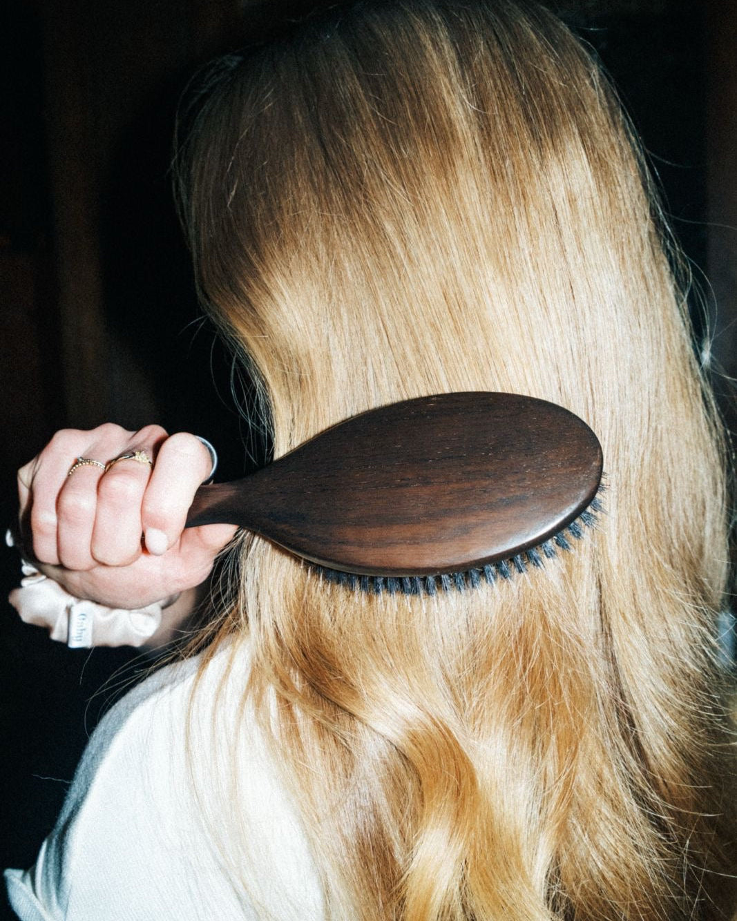 Premium Boar Bristle Brush